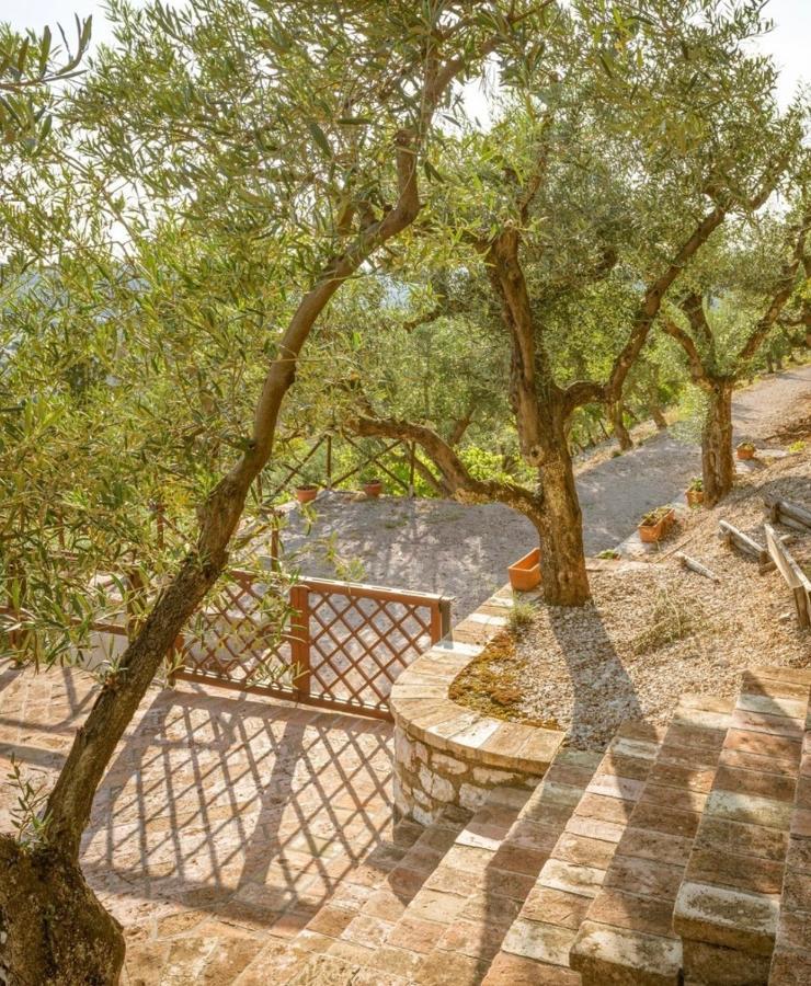 Umbrian